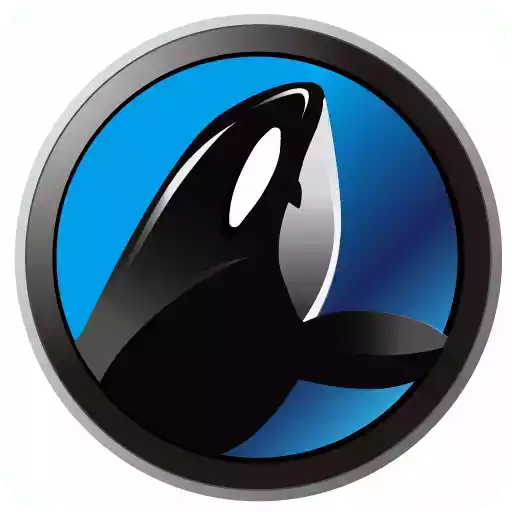 鯨魚寶app官網