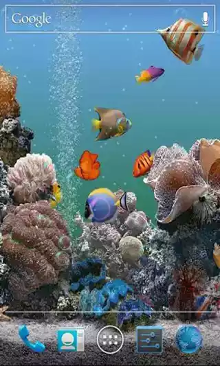 海底动态壁纸图片