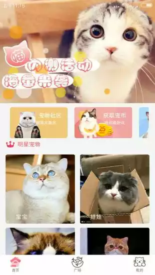 猫咪社区官网